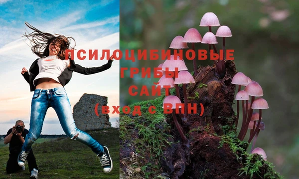 гидра Белокуриха