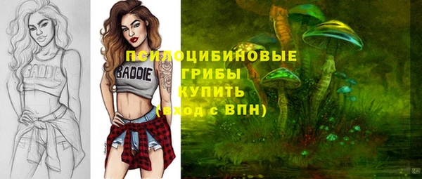 гидра Белокуриха