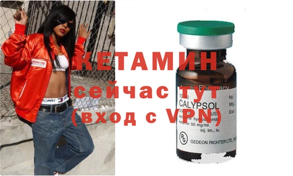 гидра Белокуриха