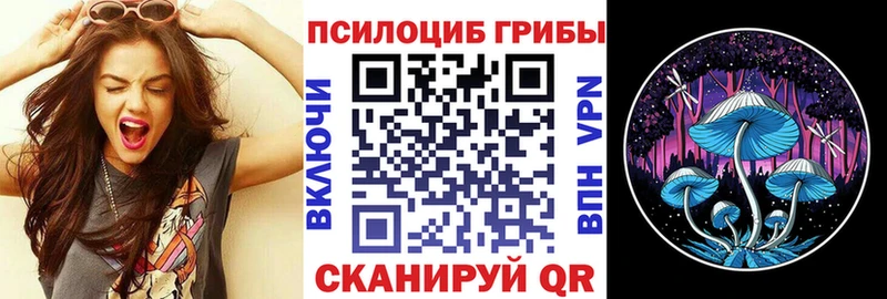 Псилоцибиновые грибы MAGIC MUSHROOMS  наркотики  Ильский 
